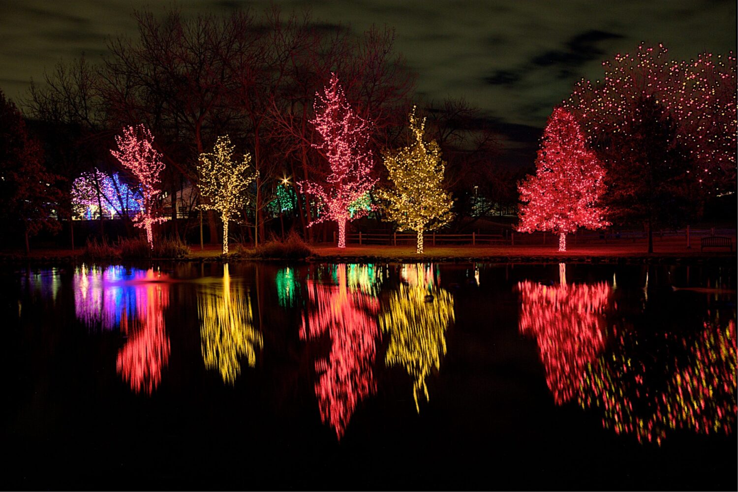 Night At...A Hudson Christmas! at The Hudson Gardens Colorado